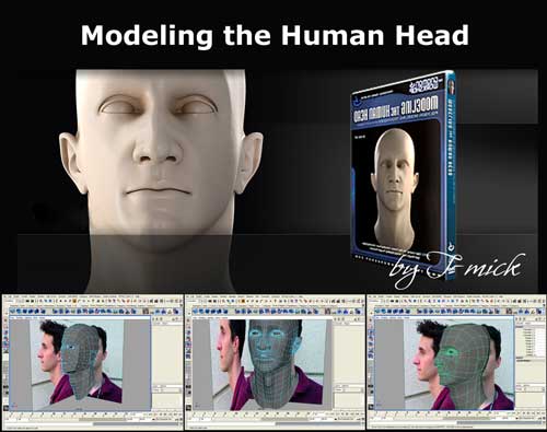 Modeling-the-Human-Head.jpg